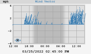 Wind Vector